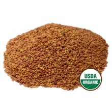 Organic Alfalfa Seeds