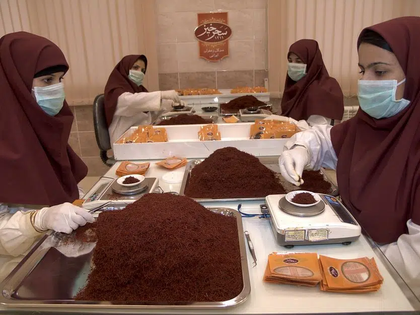 خرید زعفران