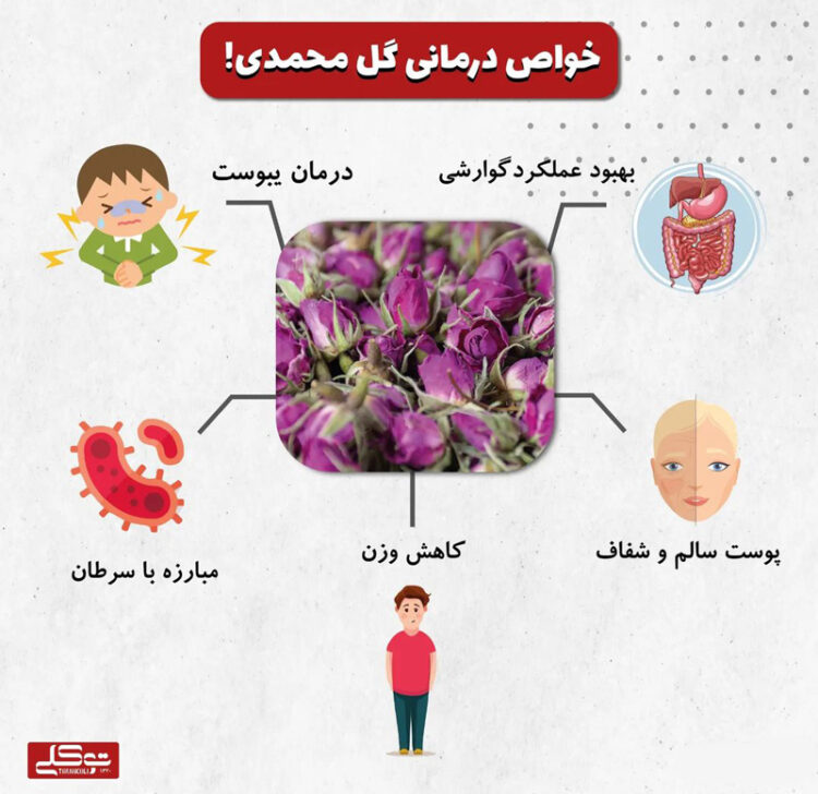 غنچه گل محمدي 75 گرم توکلی